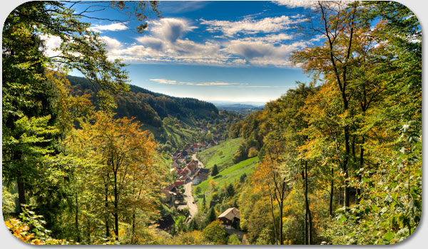 Lerbach vom Pavillon auf der Claras Hhe im Indian Summer