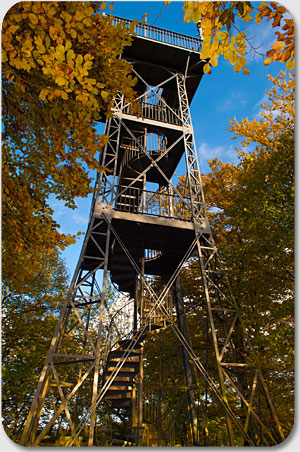 Aussichtsturm Kuhkolzklippe - Lerbach im Harz