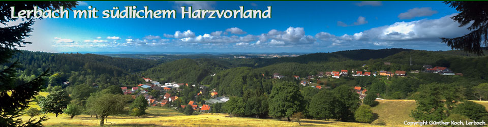 Panorama von Lerbach mit südlichem Harzvorland